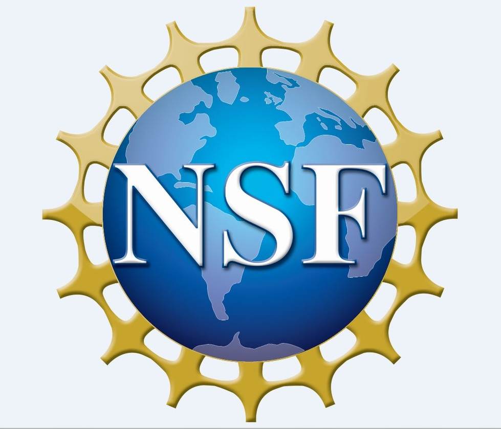 NSF Logo